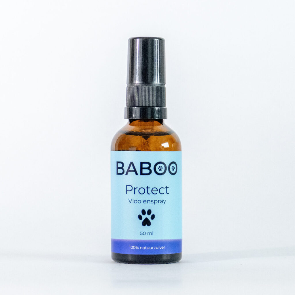 Vlooien en teken hond | Natuurlijke Vlooien- en Tekenbestrijding 6 Baboo Protect vlooiendruppels 50ml