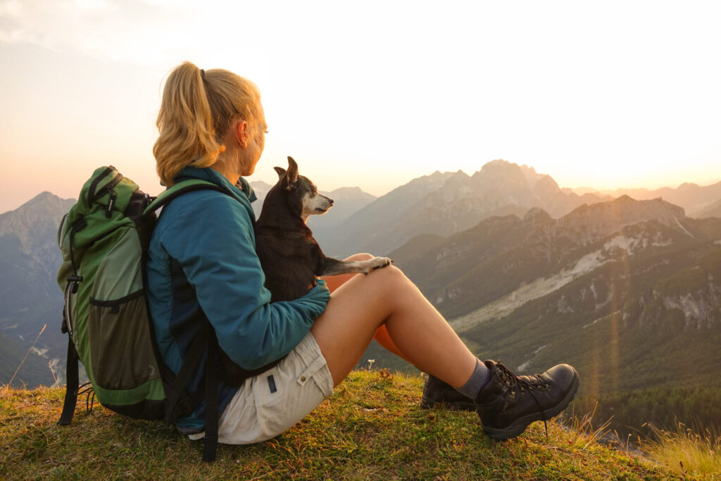 Met hond op vakantie | Handige tips voor op reis in 2025 2 met hond op vakantie