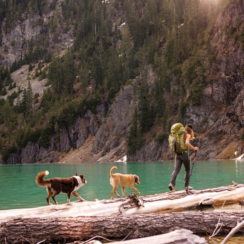 Met hond op vakantie | Handige tips voor op reis in 2025 3 met hond op vakantie