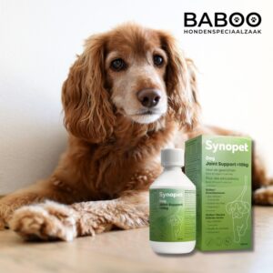 1-1.jpg Groenlipmossel Hond Vloeibaar