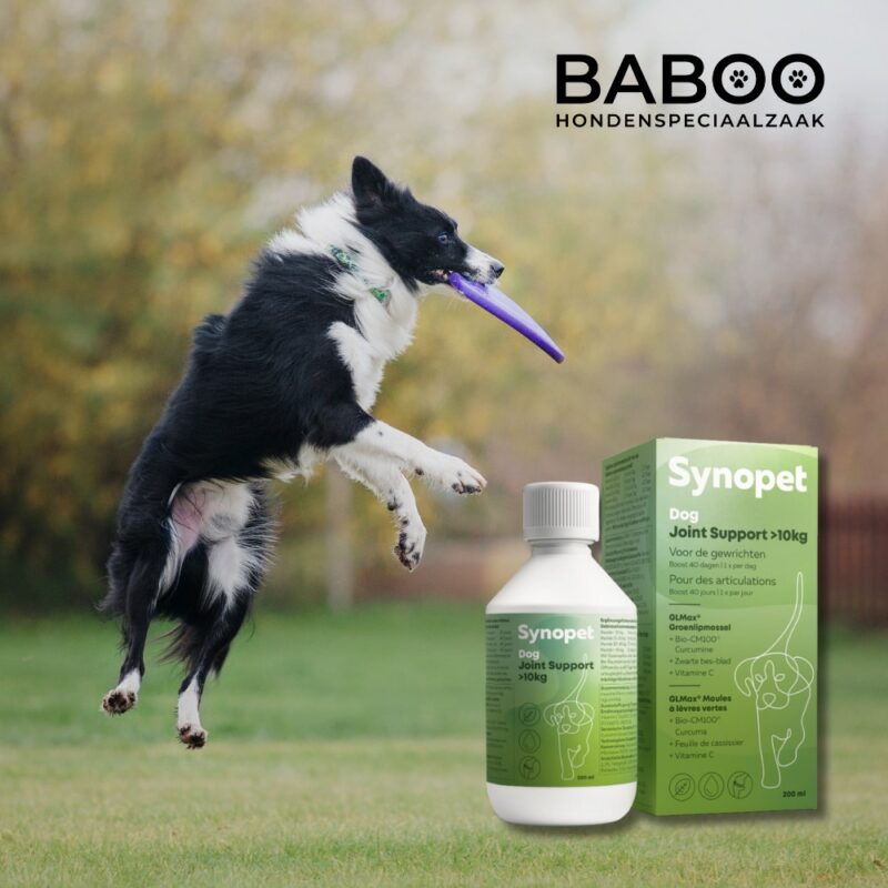 2-1.jpg Groenlipmossel Hond Vloeibaar