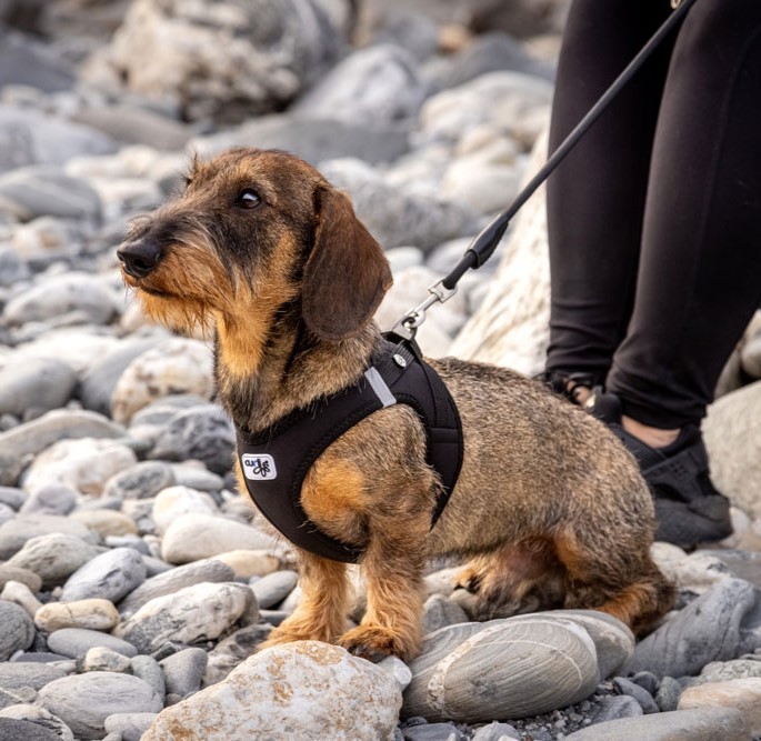 20220413_curli_photoshoot-522-kopie.jpg Curli Tuigje Air-Mesh Zwart