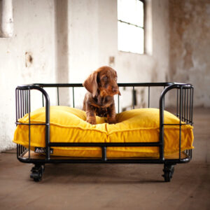 2023_Boxbed_Royal_Velvet_98-ko.jpg Kussenhoes Royal Velvet Honing