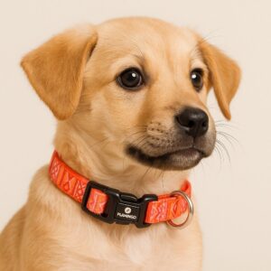 20250505_0902_Puppy-with-Vibrant-Collar_remix_01jtfm0rv1eh7se17s35s735vw.jpg Puppy Halsband Zalmroze