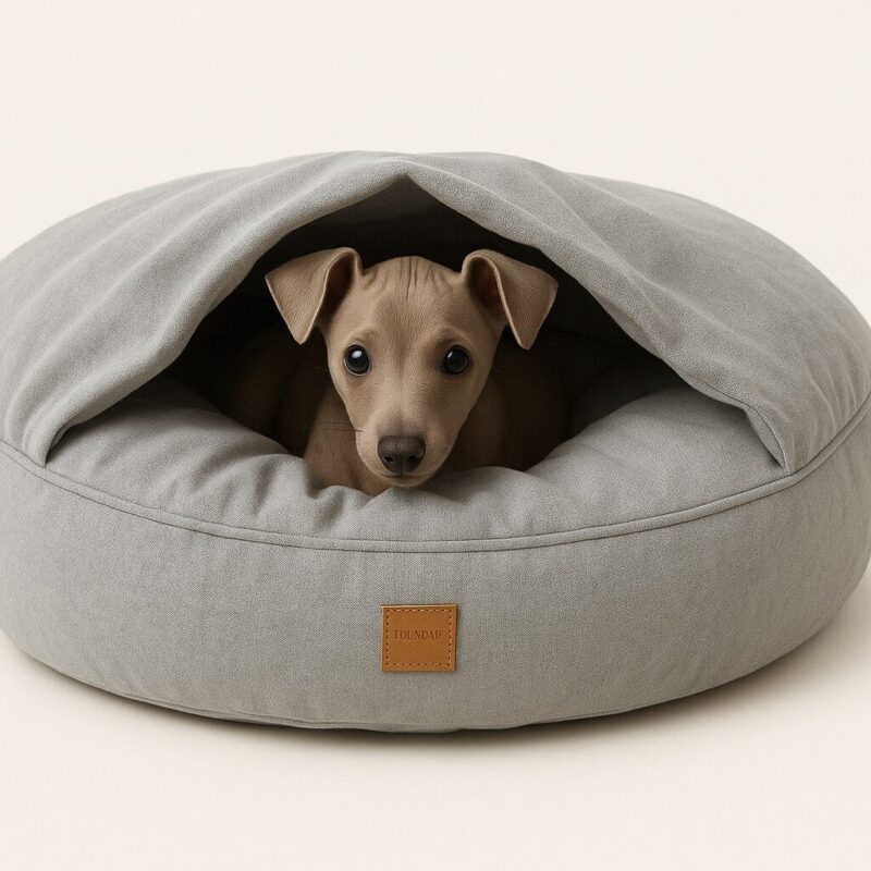 20250531_1011_Cozy-Dog-Retreat_remix_01jwjp8qgpe3pbbcvwzefhwzap_1.jpg Hondencave Liam Perla