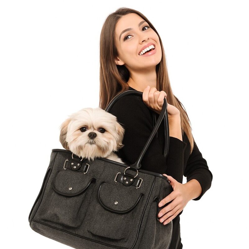 20250717_1456_Dog-Bag-Fashion_remix_01k0c739tve0ssgch1c0gem1ef-1.jpg Stijlvolle Hondentas Grijs