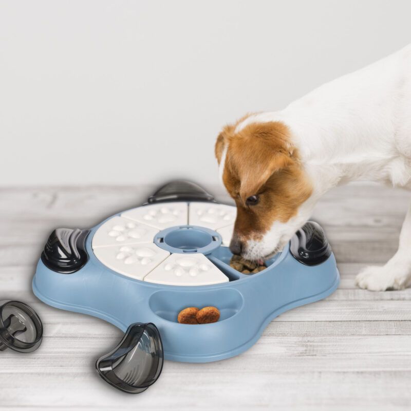 521651_S_01-scaled-1.jpg Hondenpuzzel Clyde