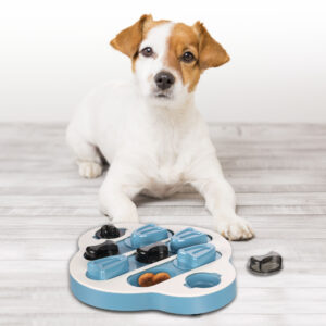 521652_S_01-scaled-1.jpg Hondenpuzzel Sherlock