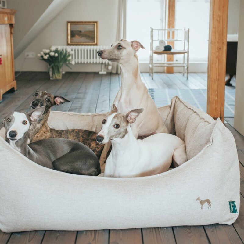 60856_001_live_17_1920x1920.jpg Hondenmand Livingston Beige