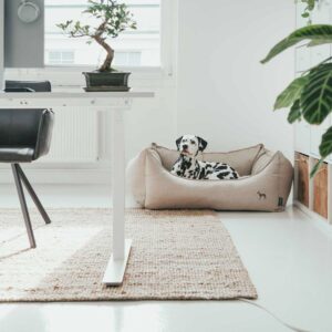 60856_002_live_21_1920x1920.jpg Hondenmand Livingston Beige