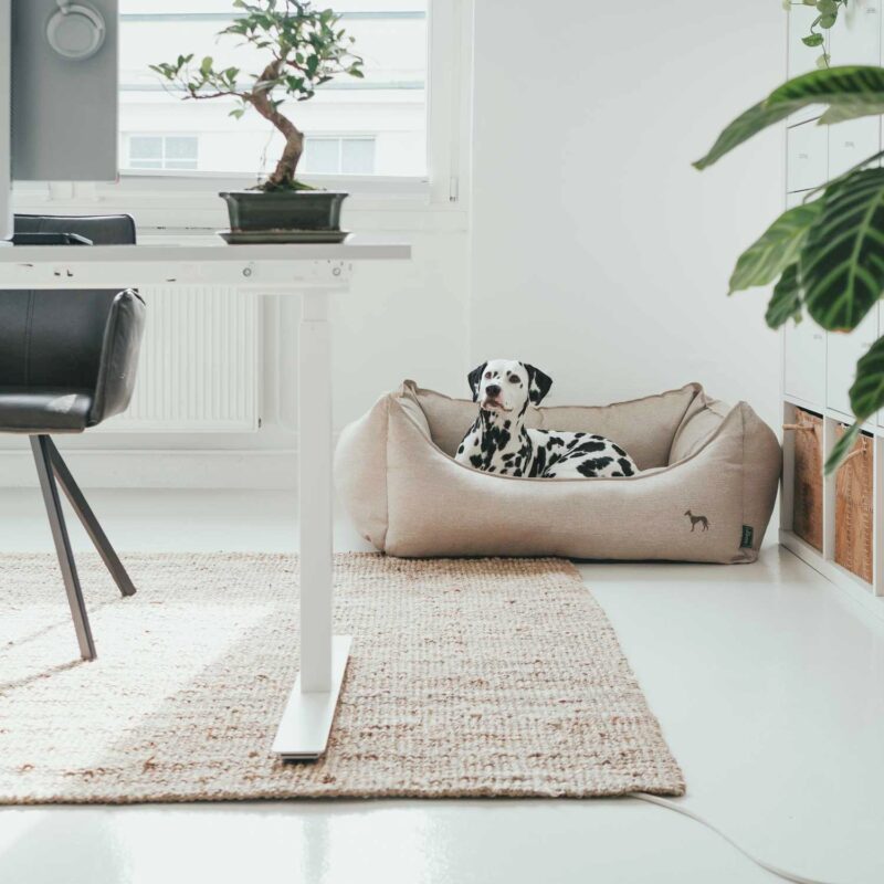 60856_002_live_21_1920x1920.jpg Hondenmand Livingston Beige