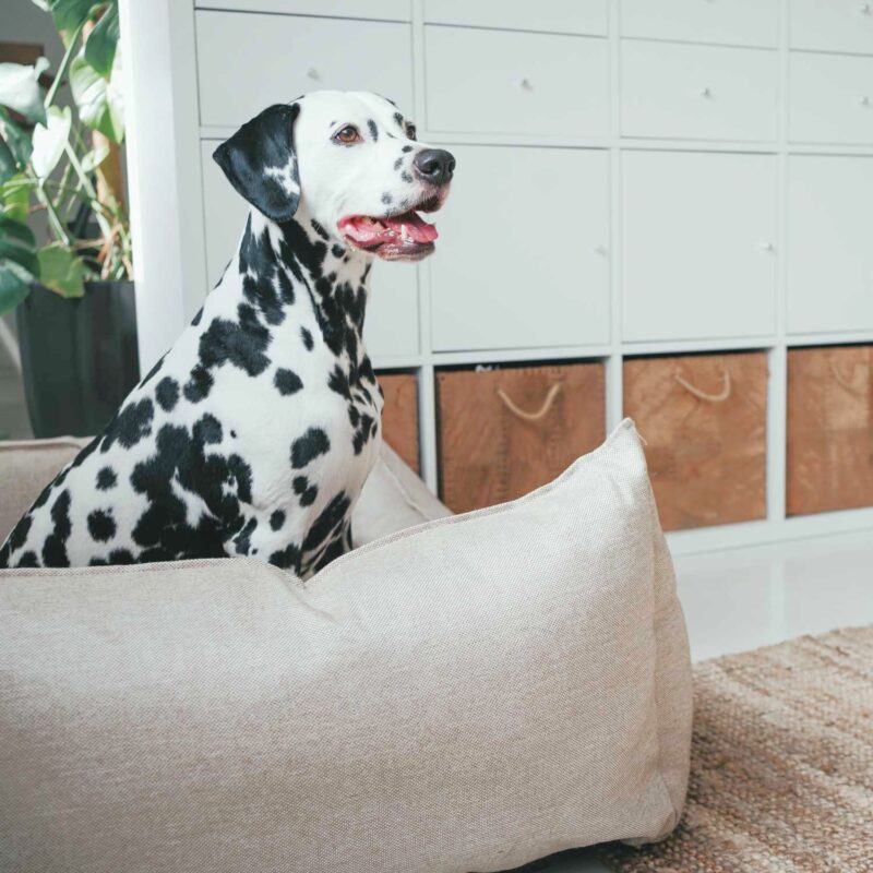 60856_003_live_21_1920x1920.jpg Hondenmand Livingston Beige