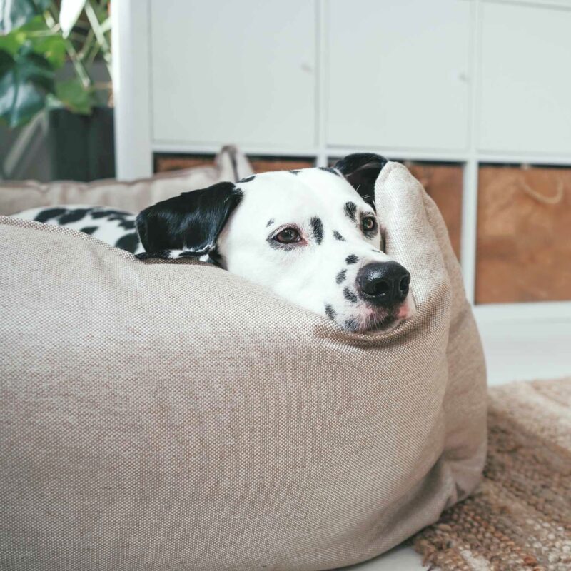 60856_004_live_21_1920x1920.jpg Hondenmand Livingston Beige