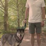 9e632725c10007873f747a14ad2efc5d 150x150 1