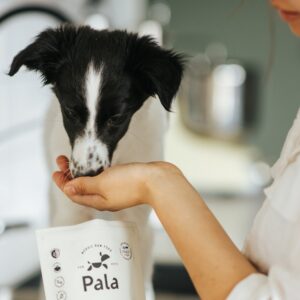 Pala - Gedroogd Vlees - Kalkoen, Eend & Haring