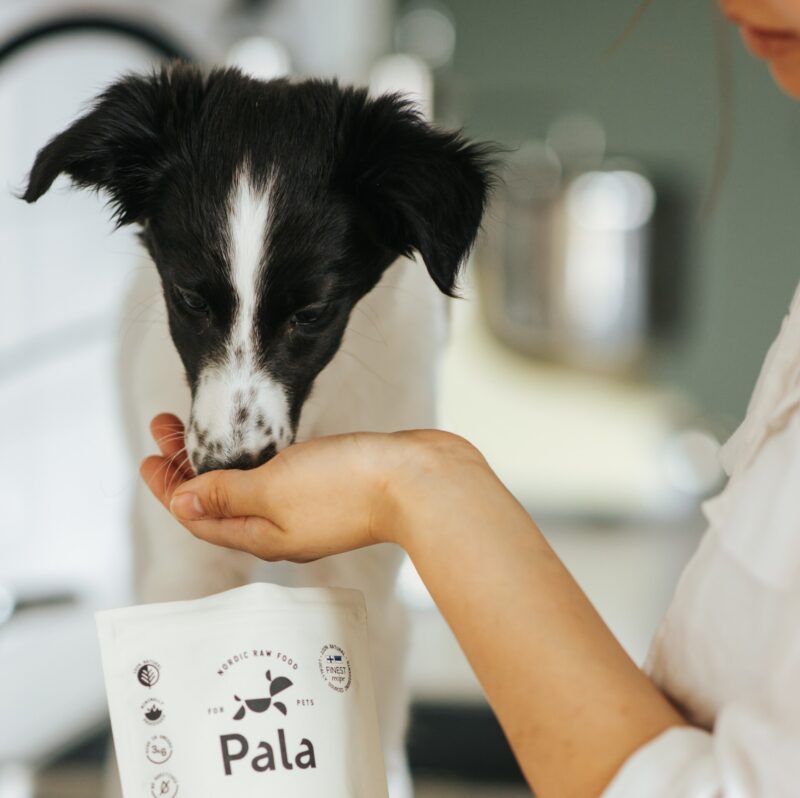 Pala - Gedroogd Vlees - Kalkoen, Eend & Haring