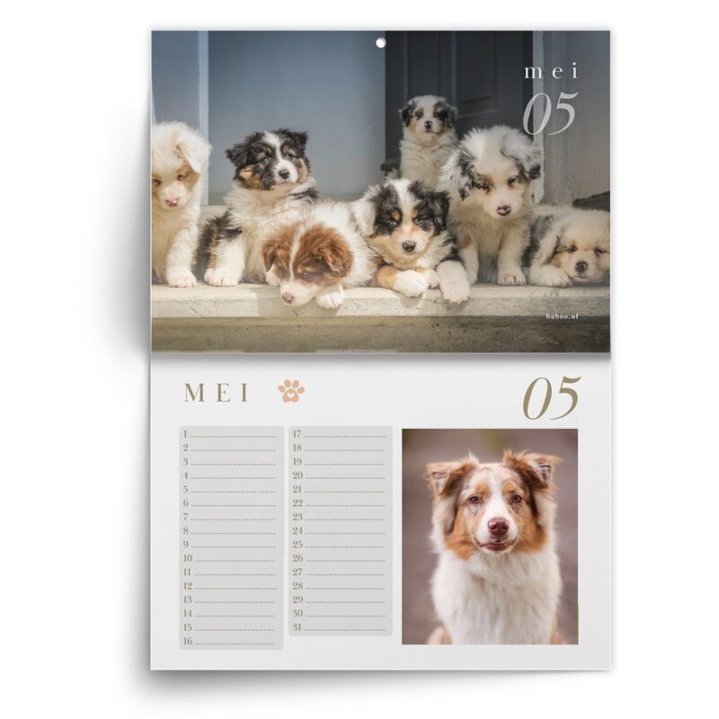 AS-kalender-mei-1.jpg Verjaardagskalender Australian Shepherd