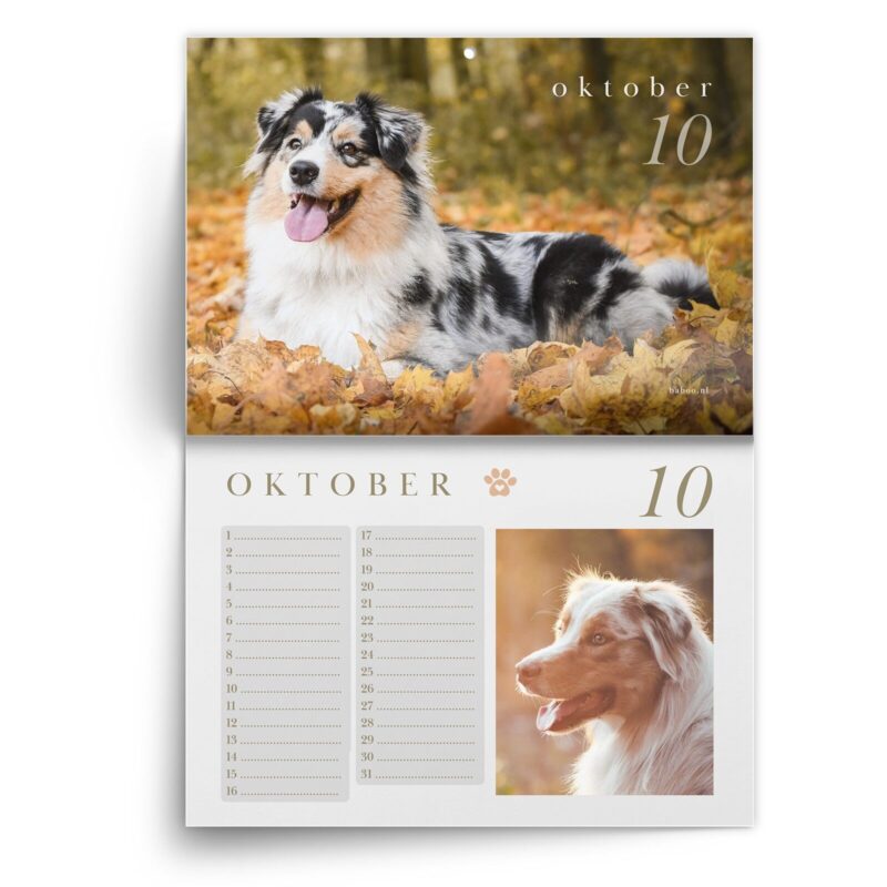 AS-kalender-okt-1.jpg Verjaardagskalender Australian Shepherd