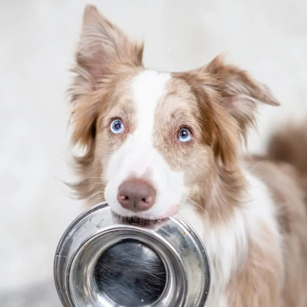 AdobeStock 408462652 kopie 1024x1024 1 1