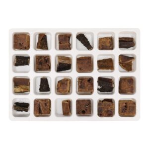 Adventskalender Hond 2025