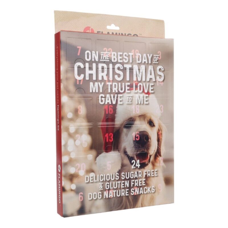 Adventskalender Hond 2025