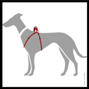 Afbeelding1-3.jpg Y Tuig Hond Rood