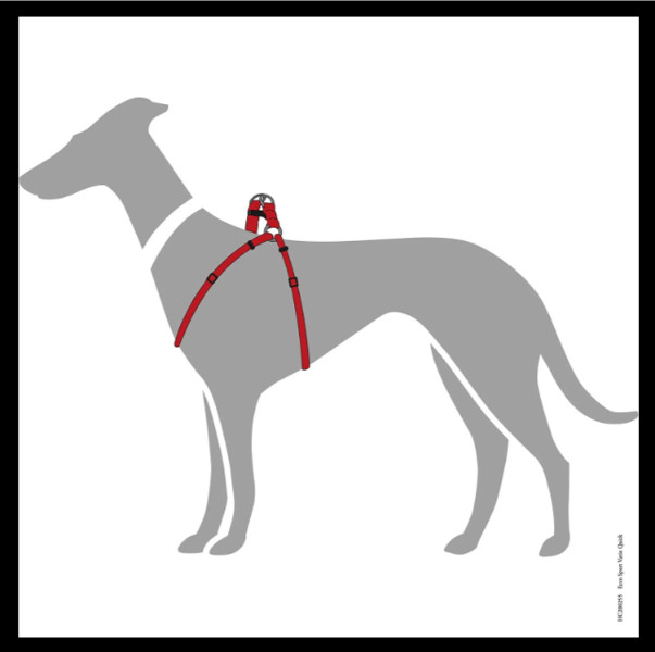 Afbeelding1-3.jpg Y Tuig Hond Rood