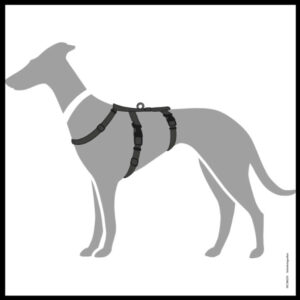 Afbeelding10.jpg Anti-ontsnappingstuig Zwart