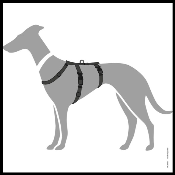 Afbeelding10.jpg Anti-ontsnappingstuig Zwart