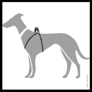 Afbeelding2.jpg Y Tuig Hond Zwart