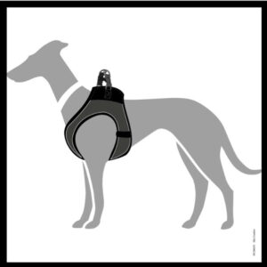 Afbeelding3.jpg Hondentuig Hilo Antraciet