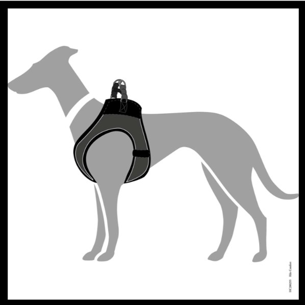 Afbeelding3.jpg Hondentuig Hilo Antraciet