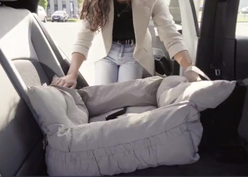 Afbeelding5-kopie.jpg Hondenmand Auto/ Reismand