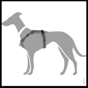 Afbeelding6.jpg Hondentuig Divo Grijs