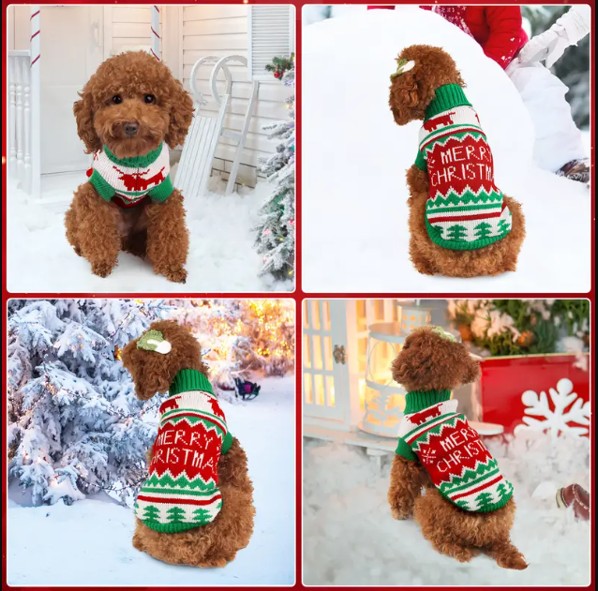 Afbeelding9-1.jpg Kersttrui Hond Rendier