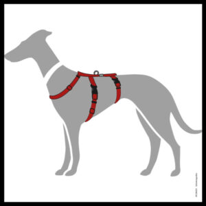 Anti-ontsnappingstuig Rood