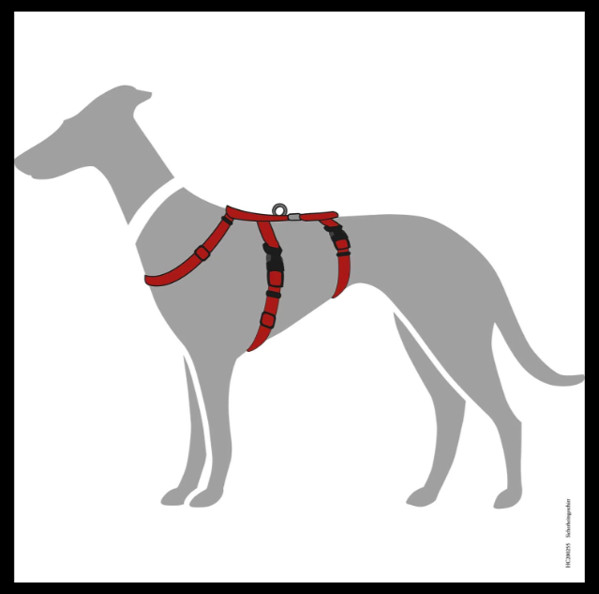 Anti-ontsnappingstuig Rood