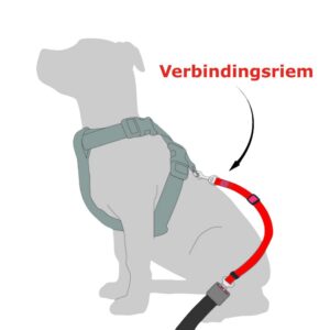 Autogordel-hond-nieuw.jpg Autogordel Hond