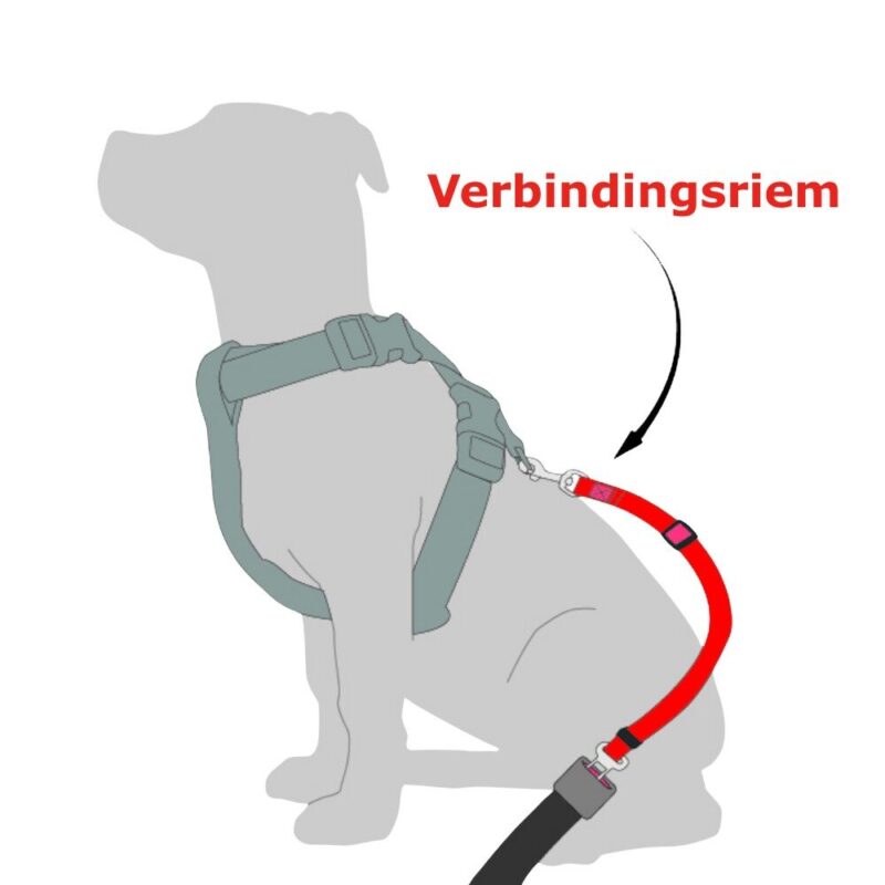 Autogordel-hond-nieuw.jpg Autogordel Hond