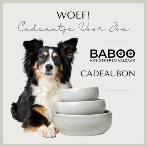 BABOO Cadeaubon Digitaal 100 euro