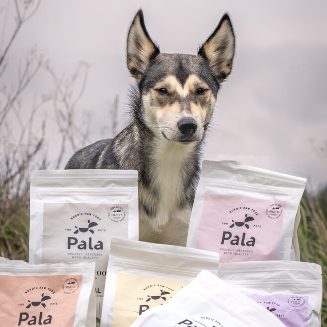 Pala - Gedroogd Vlees - Kip & Zalm