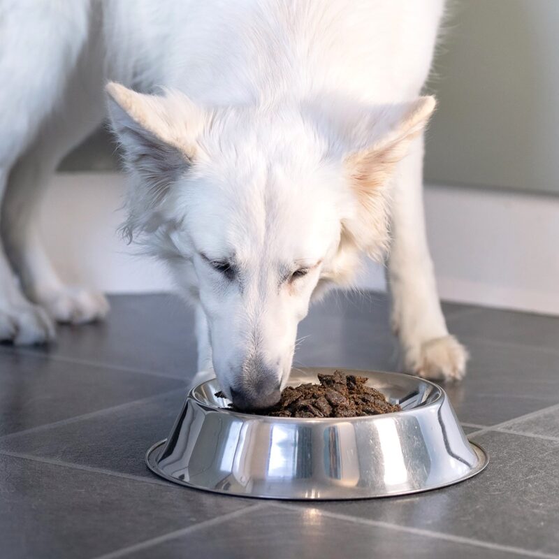 Pala - Gedroogd Vlees - Lam & Haring