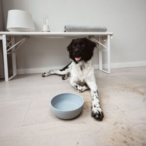 DOG-BOWL-15-scaled-1.jpg Voerbak BAMBOO Lichtgrijs