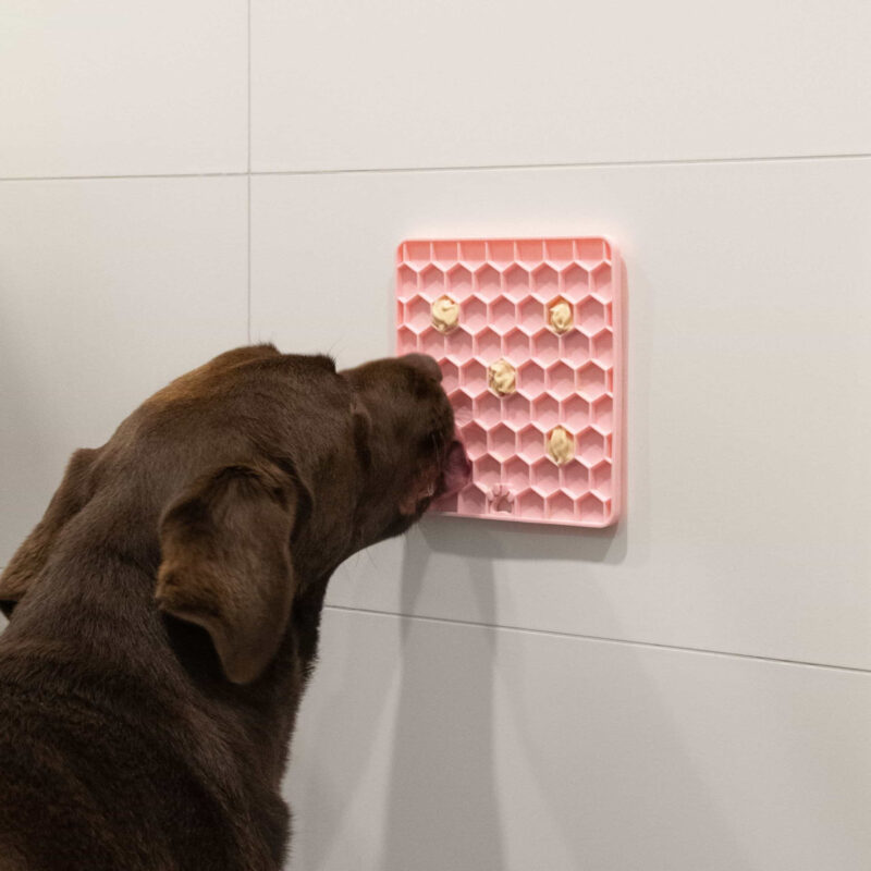 EATS060B3-scaled-1.jpg Likmat Honingraat Roze