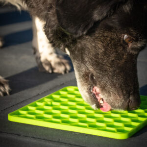 EATS060E3-scaled-1.jpg Likmat Honingraat Groen