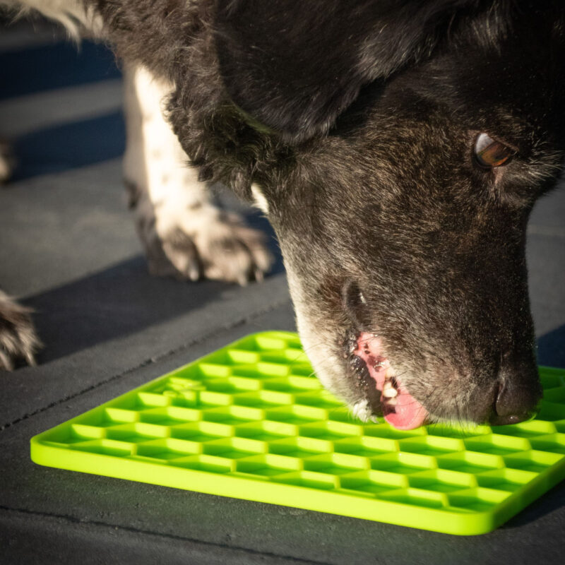 EATS060E3-scaled-1.jpg Likmat Honingraat Groen