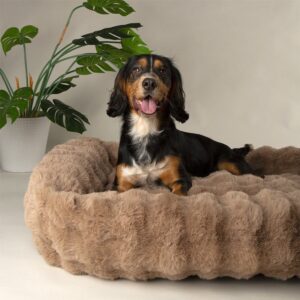 FHB1.jpg Fluffy Hondenmand Bruin