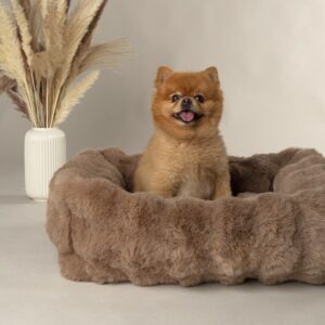 FHB5.jpg Fluffy Hondenmand Bruin