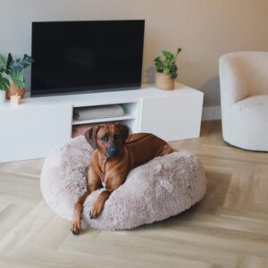 FUZZ-2.0-1.jpg Hondendonut XL Zand