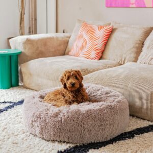 FUZZ-2.0-4.jpg Hondendonut XL Zand